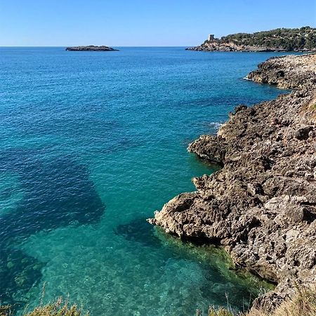 Marina Rooms Marina di Camerota Zewnętrze zdjęcie