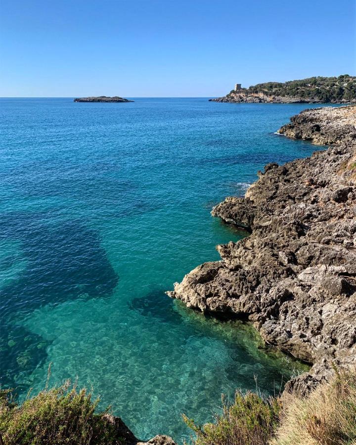 Marina Rooms Marina di Camerota Zewnętrze zdjęcie